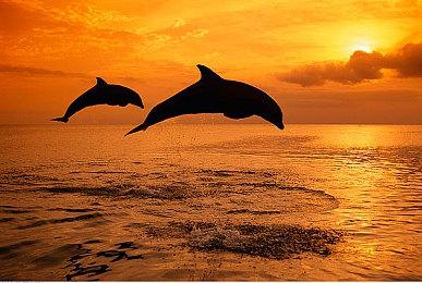 男性被边缘化？最近两年公布的3A大作都有女主角